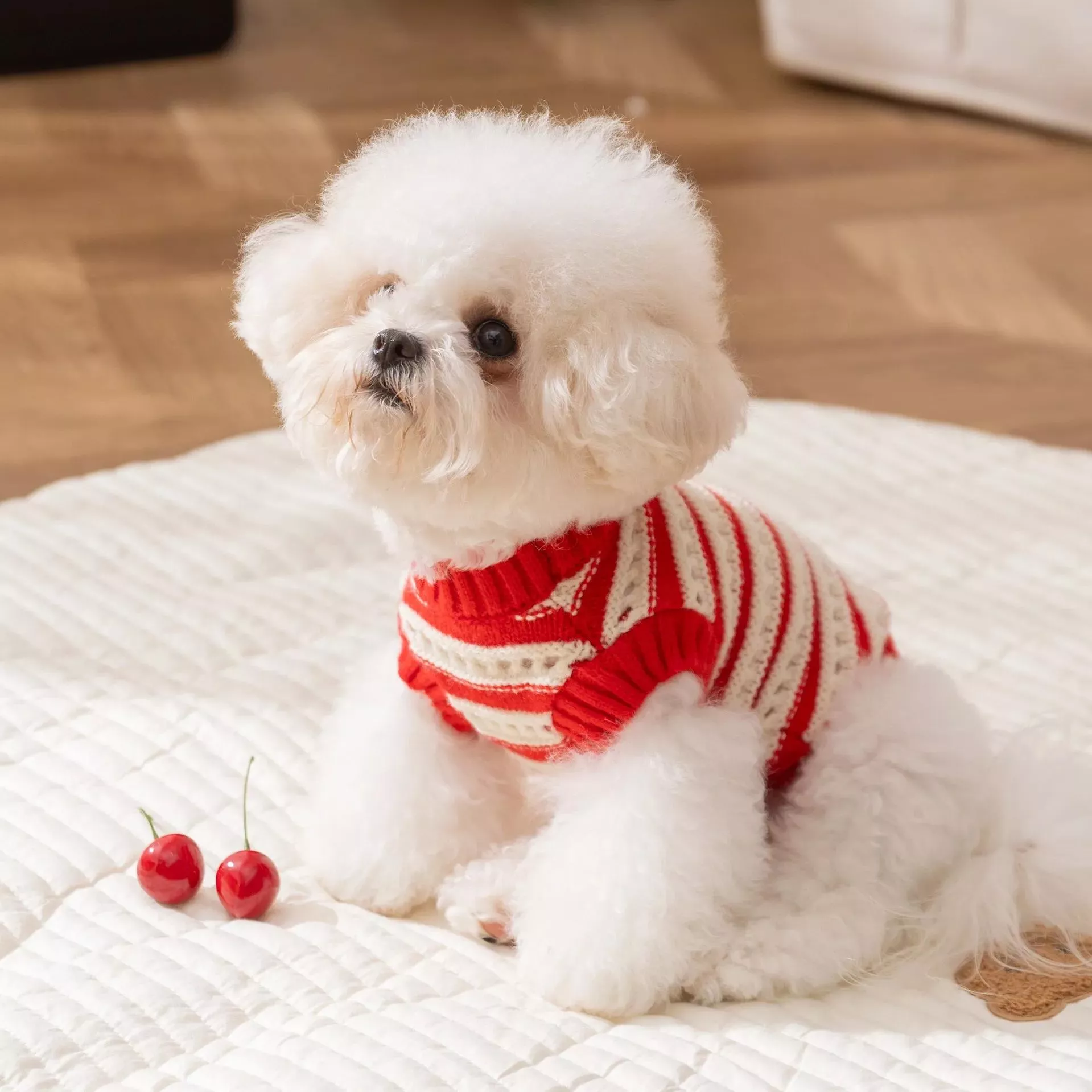 60867-9fa295.webp