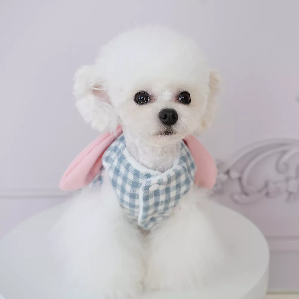 106364-277cf2.webp