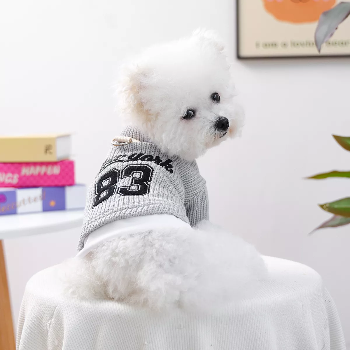 106426-16d938.webp