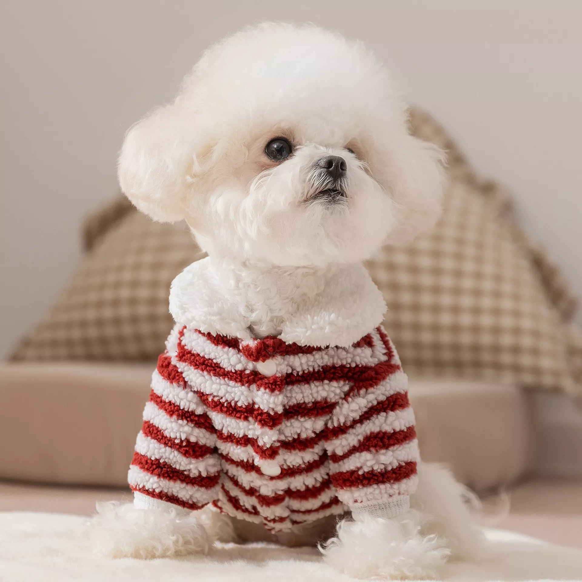 55955-d1e06e.webp