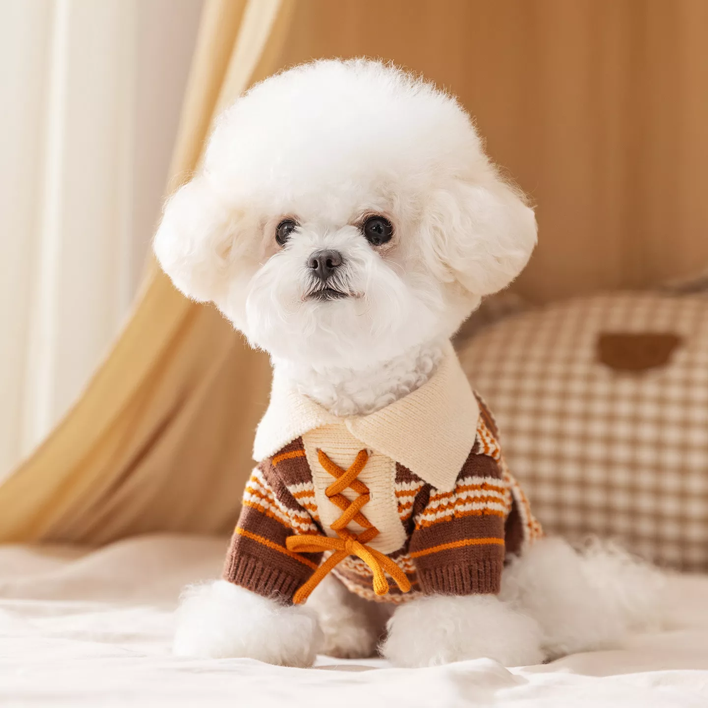 56198-4886ed.webp