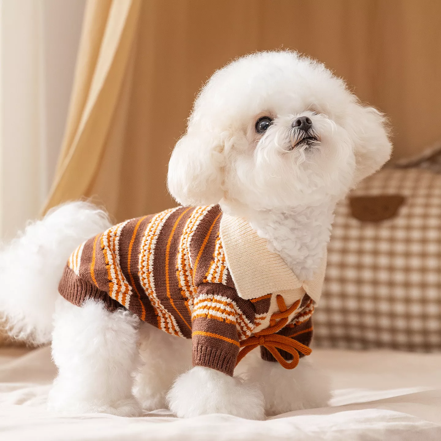 56198-4695fc.webp