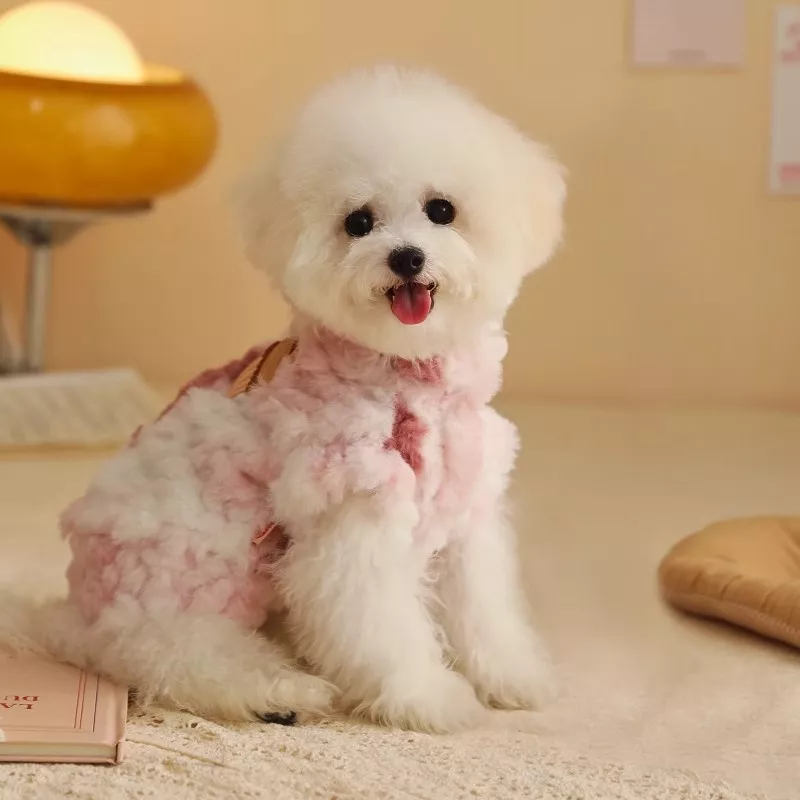 55937-8816fb.webp