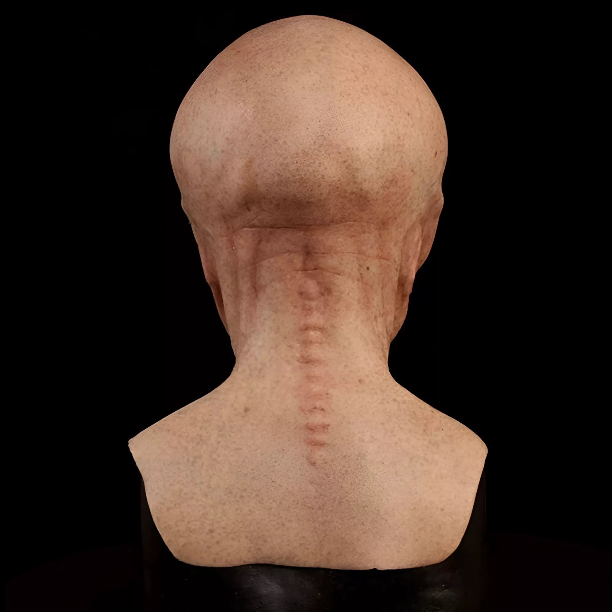 29720-3ee7f5.webp