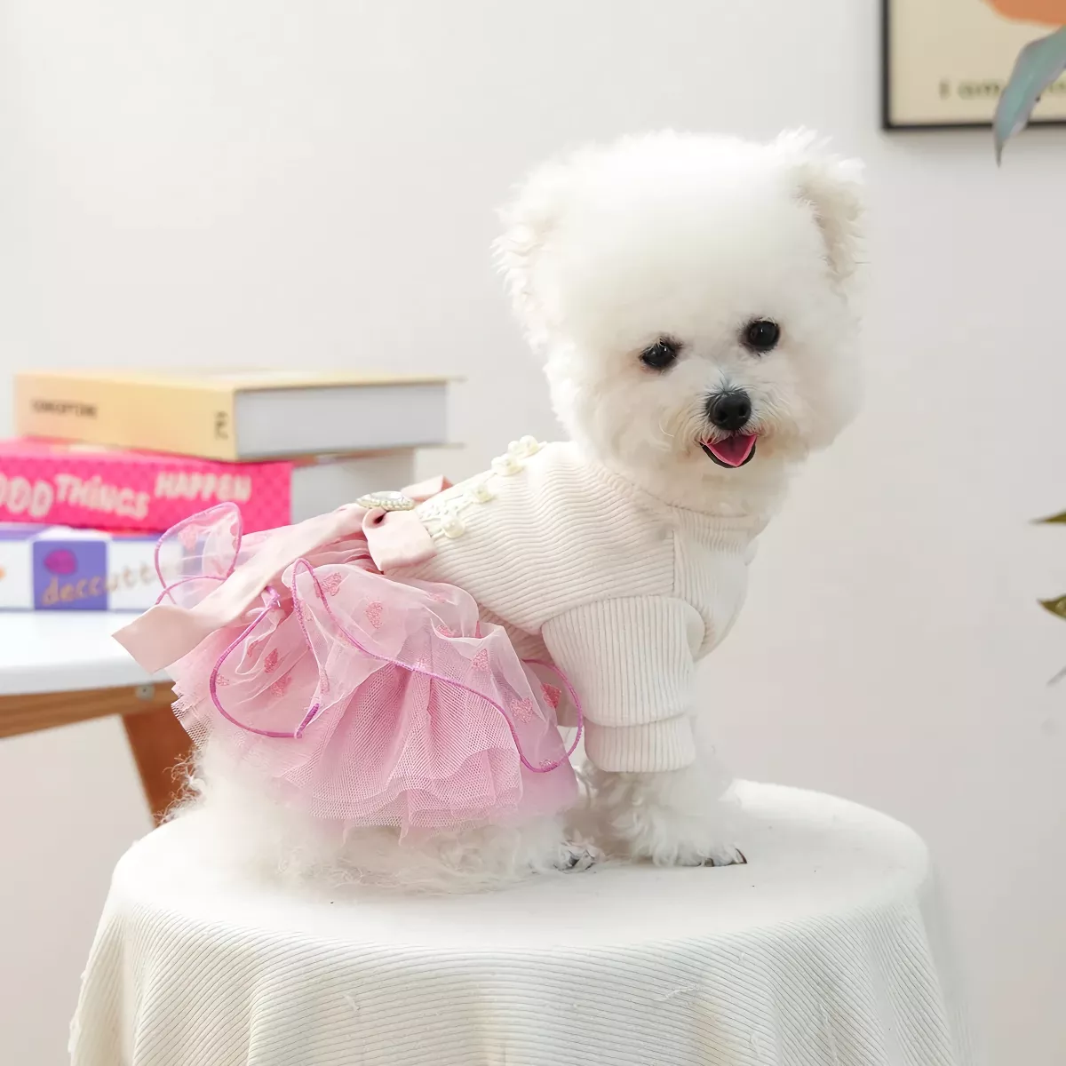 55895-e2c683.webp