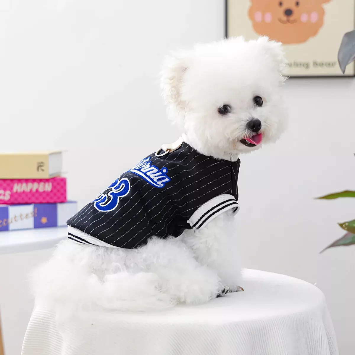 55823-d33e59.webp