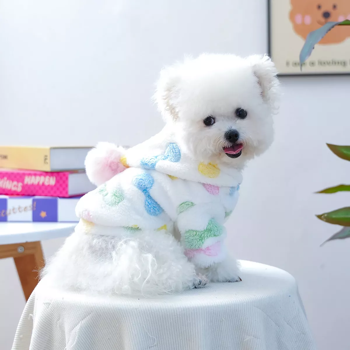 106252-6c528d.webp