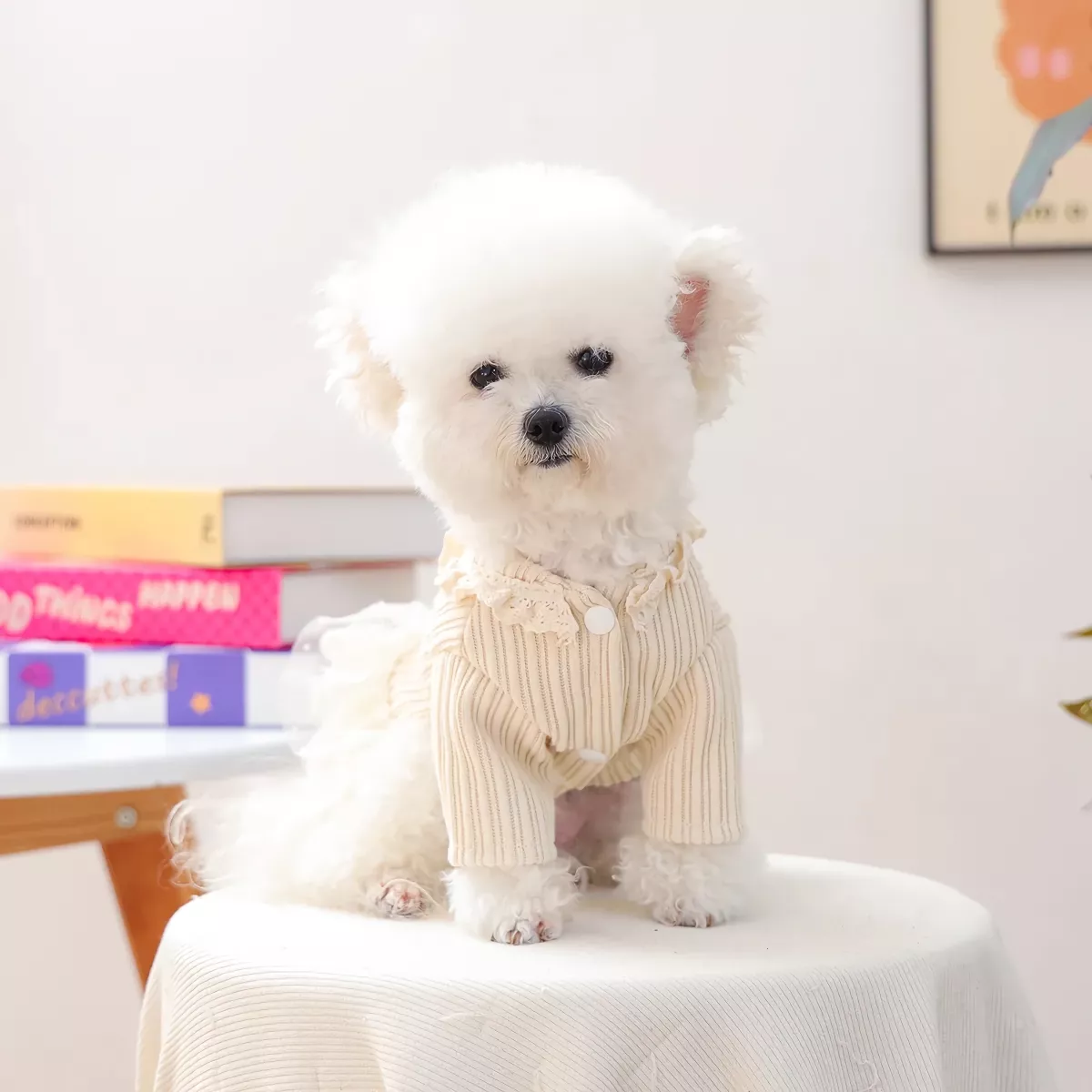 55770-f12112.webp