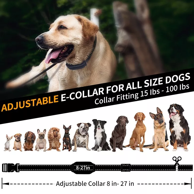 43425-90c0ad.webp