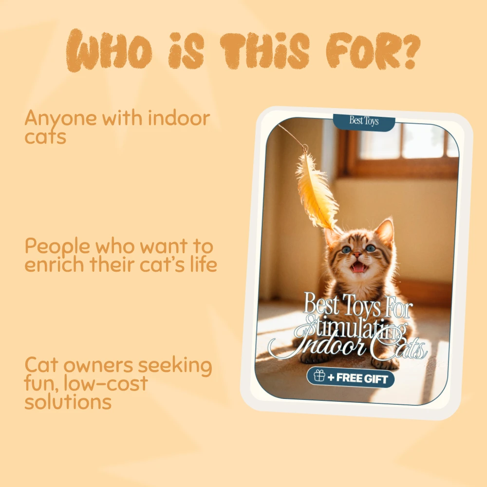 25315-b35727.webp
