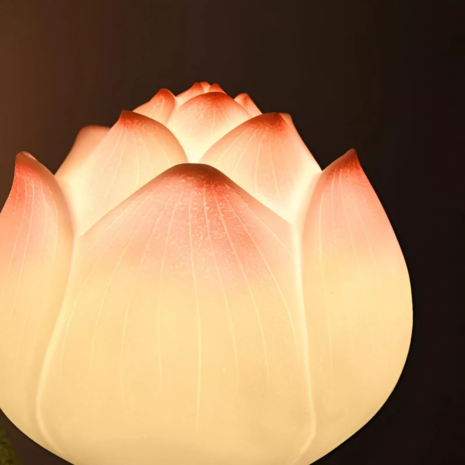 79911-b2ede8.webp