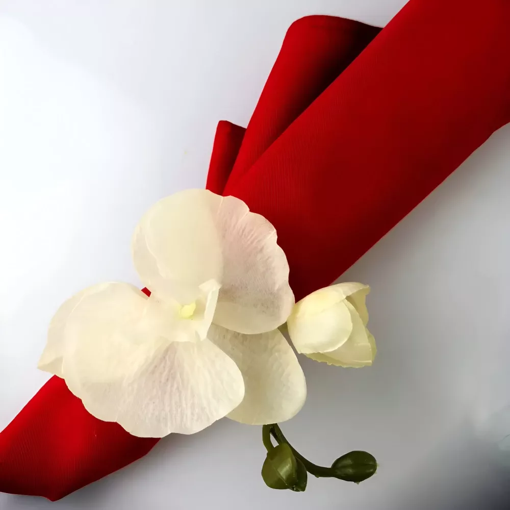 82062-550da3.webp