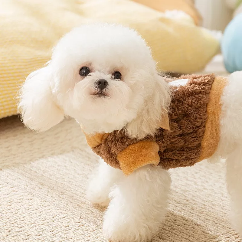 55663-d80455.webp