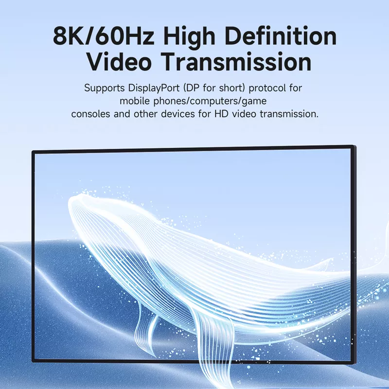 50565-5f641c.webp