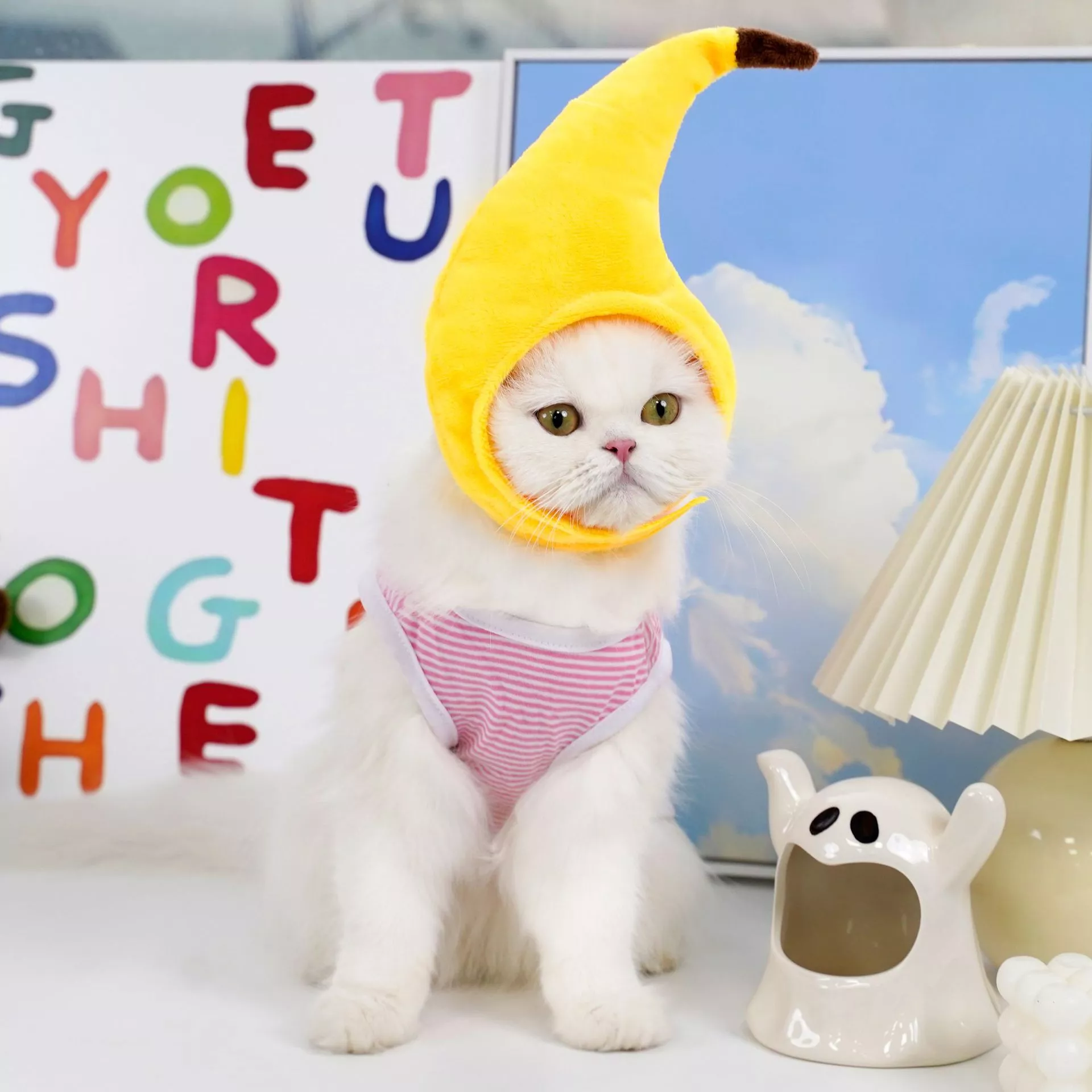 56249-f06b87.webp