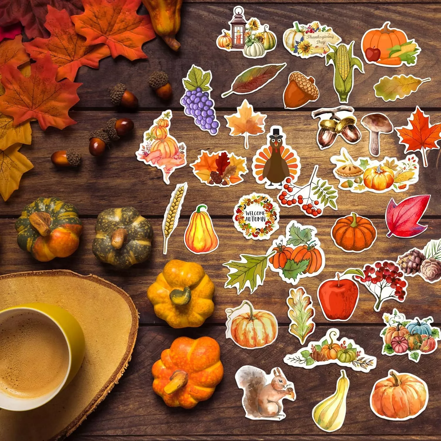 50905-89af6c.webp