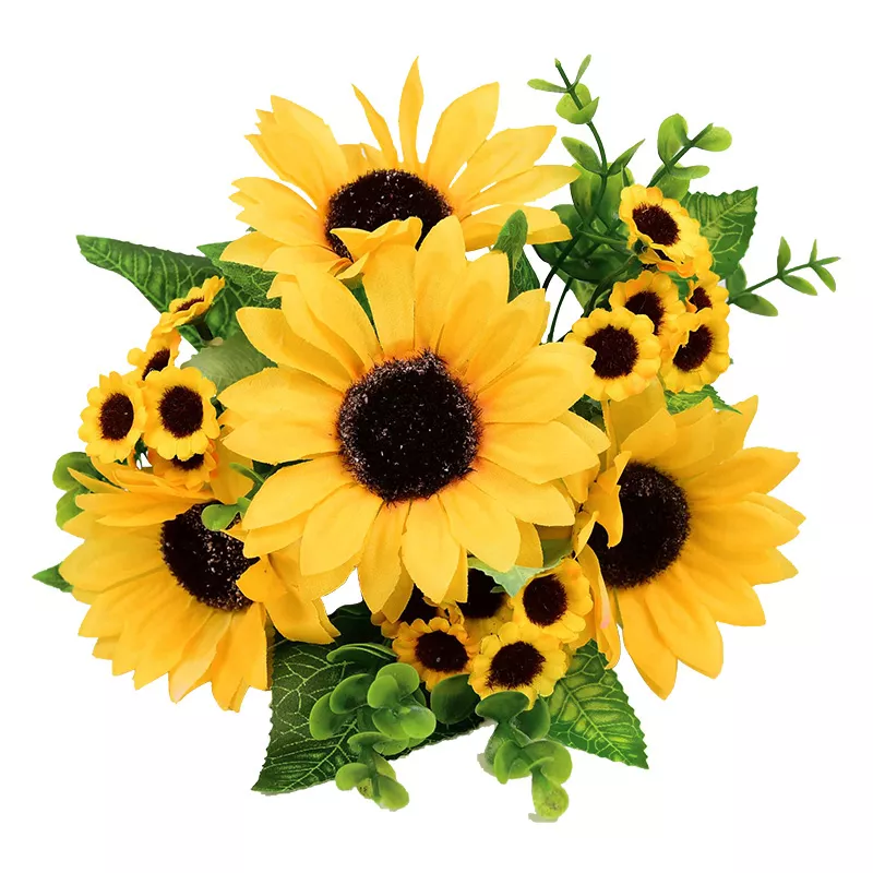 55225-146a45.webp