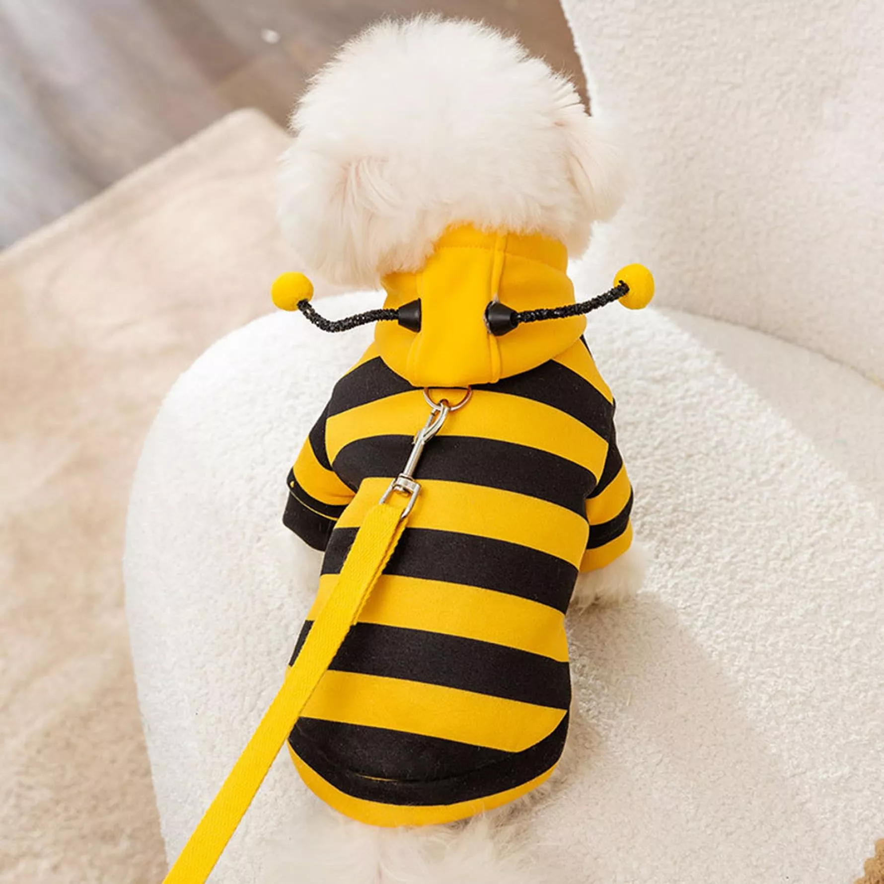55942-2d78f8.webp