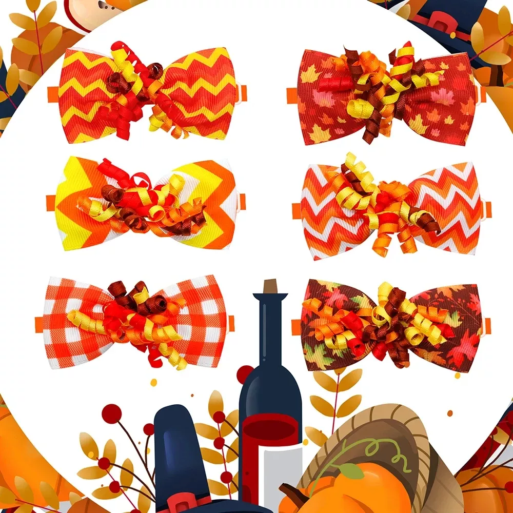55594-40b949.webp