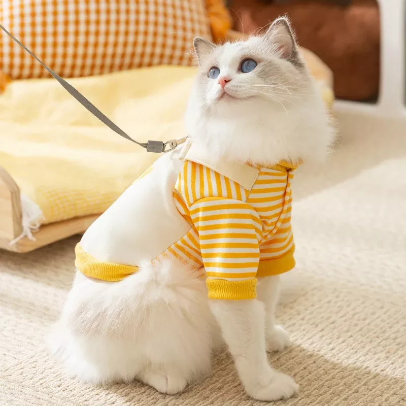 59481-d92f97.webp