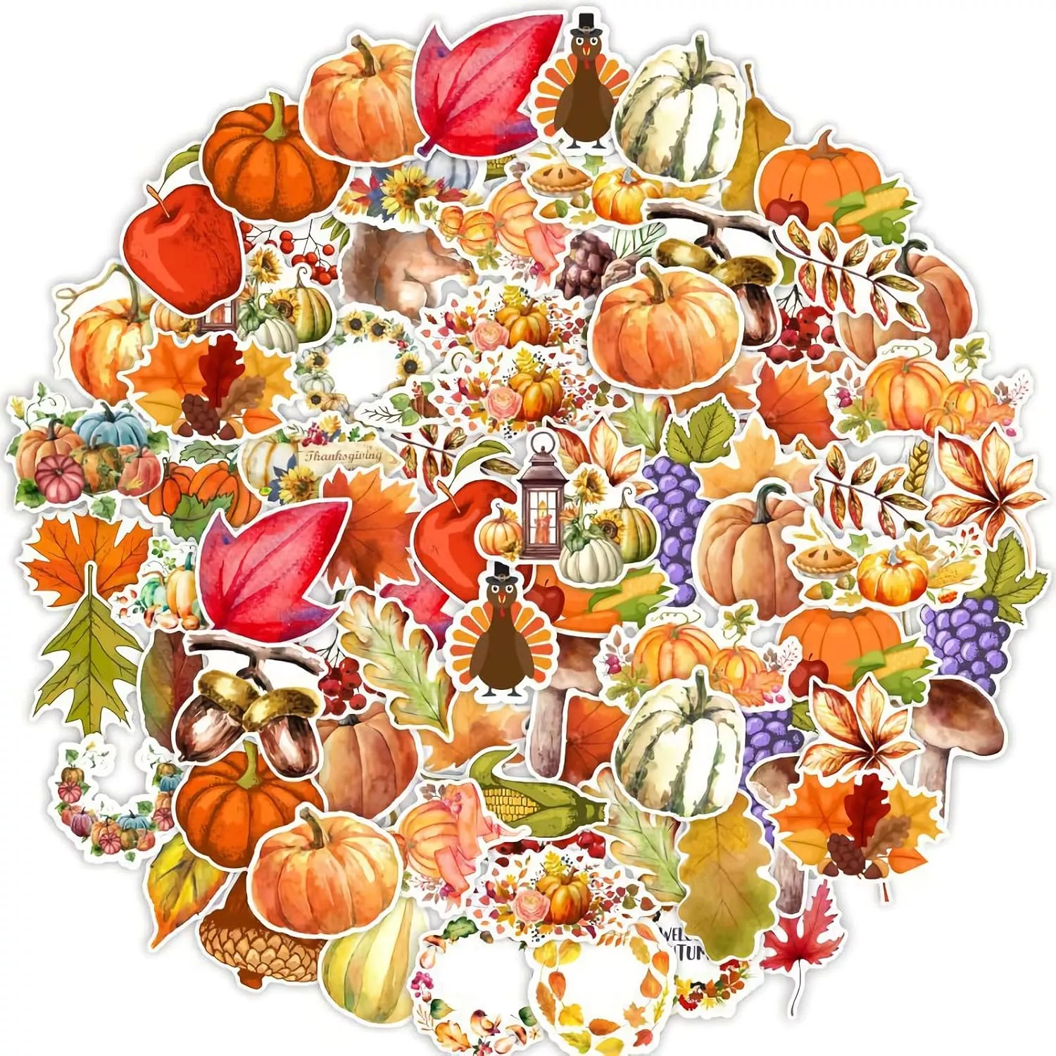 50905-d6a2ba.webp