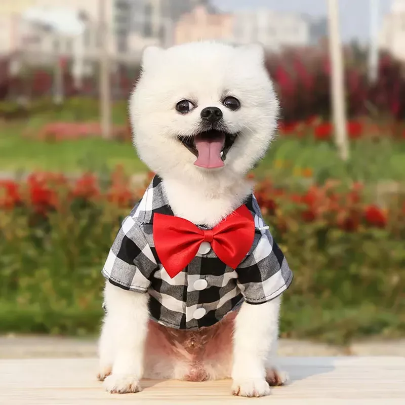 55707-e4c948.webp