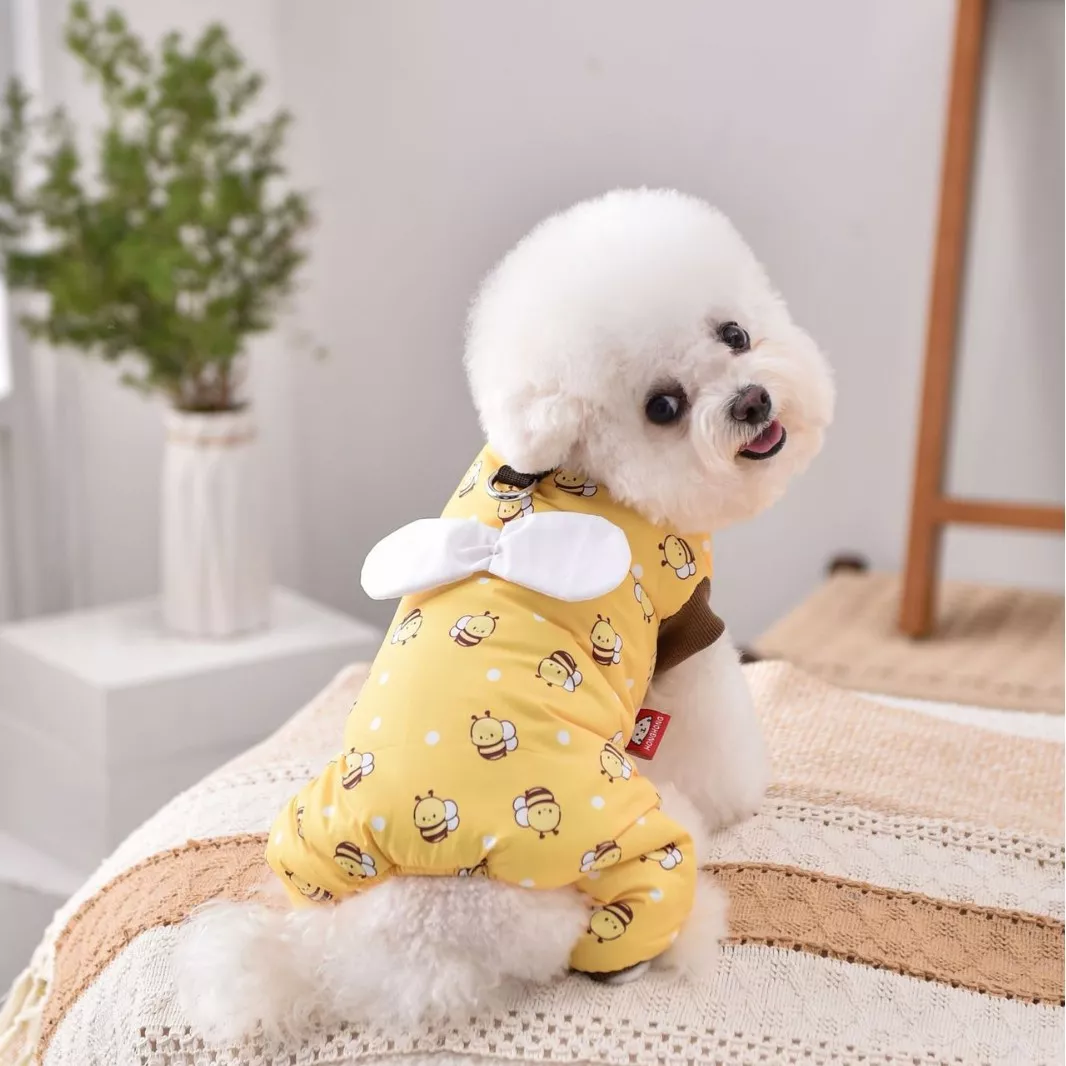 36974-08878c.webp