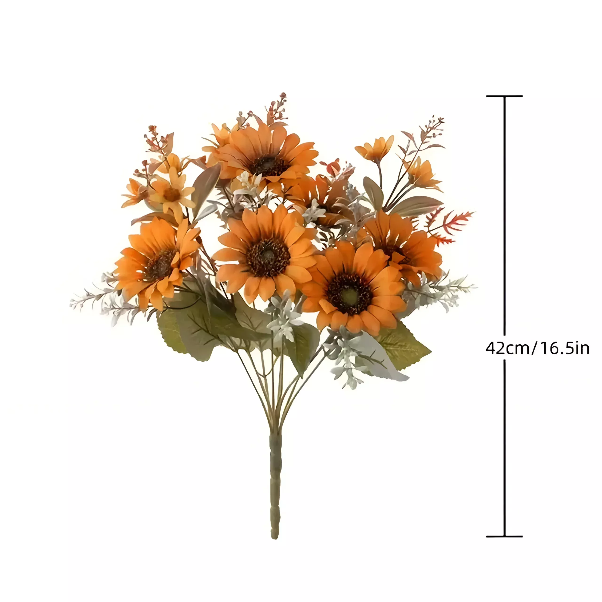 55195-84c20c.webp