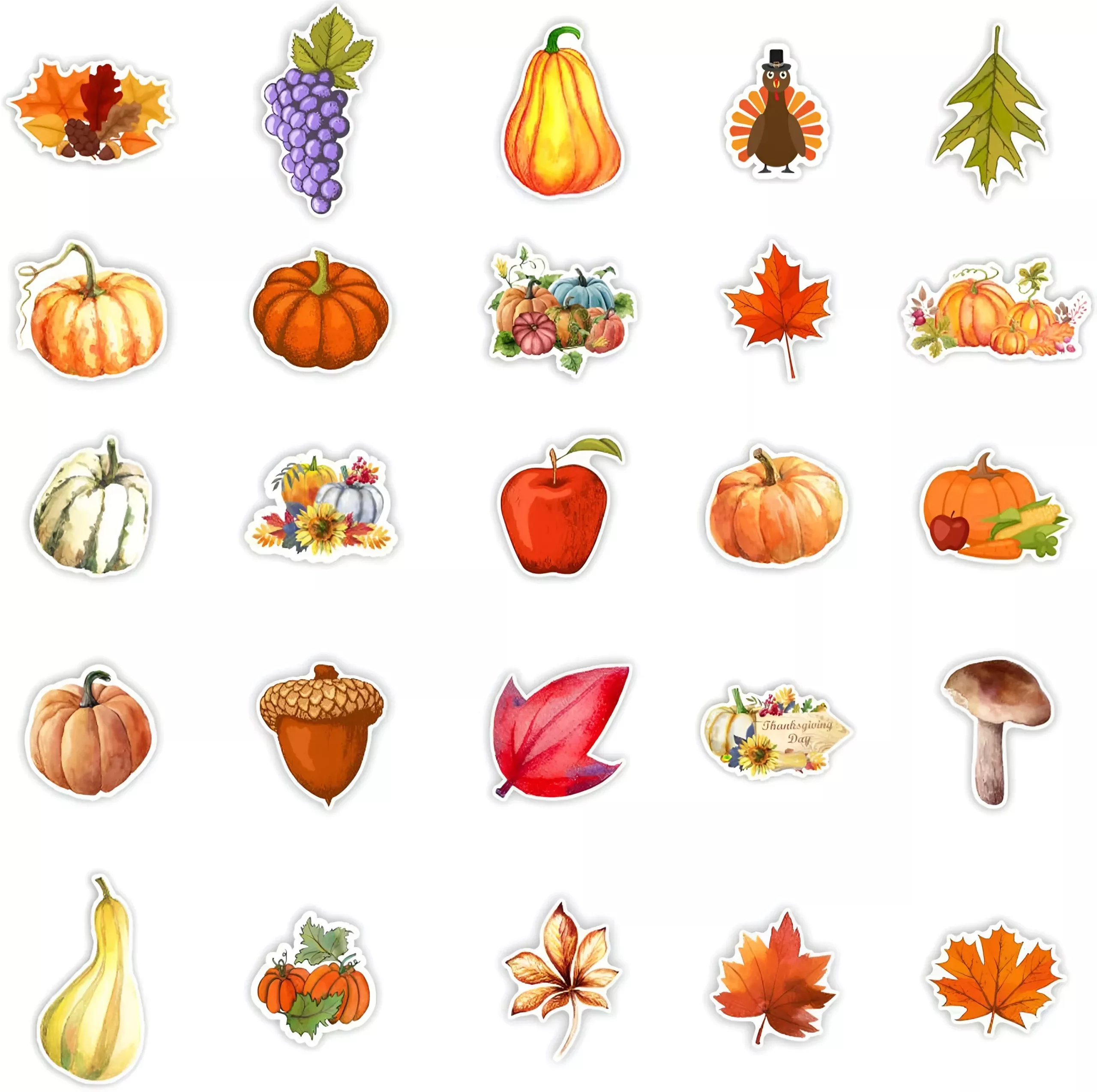 50905-d235f1.webp