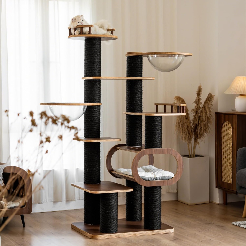 141737-6efa0c.jpg