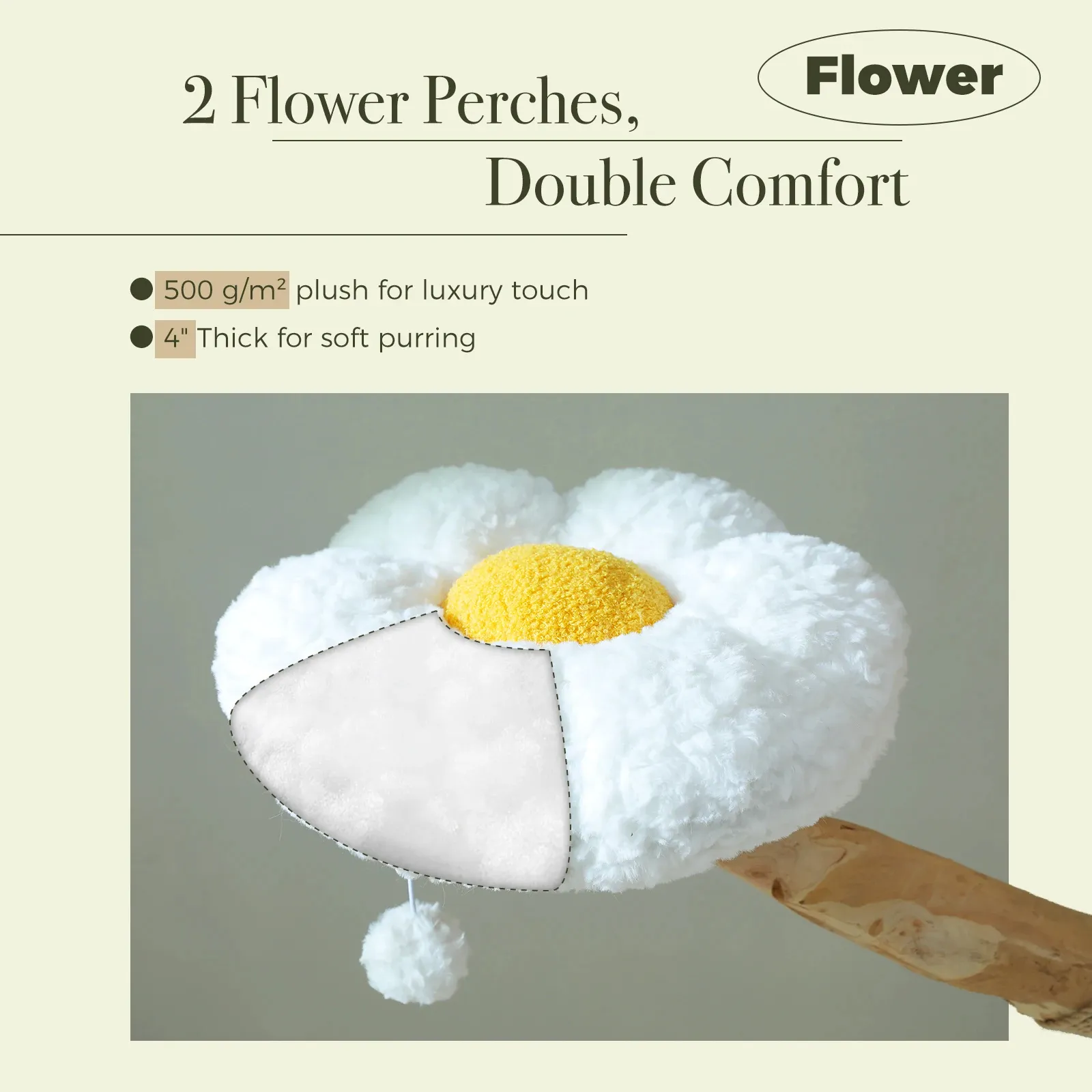 141779-6d2c54.webp