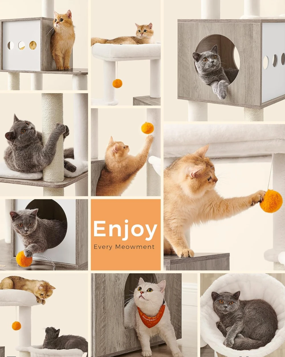 141816-de7b8f.webp