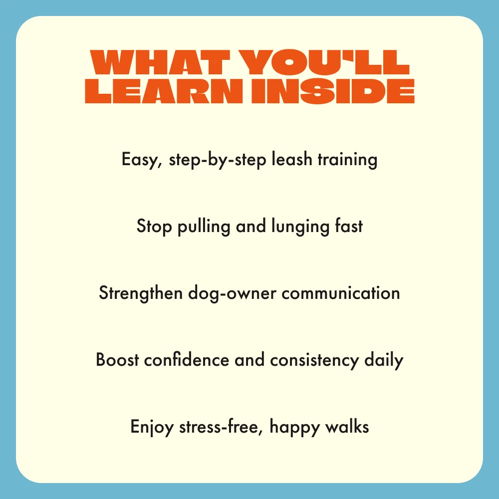 120166-cc99d0.webp