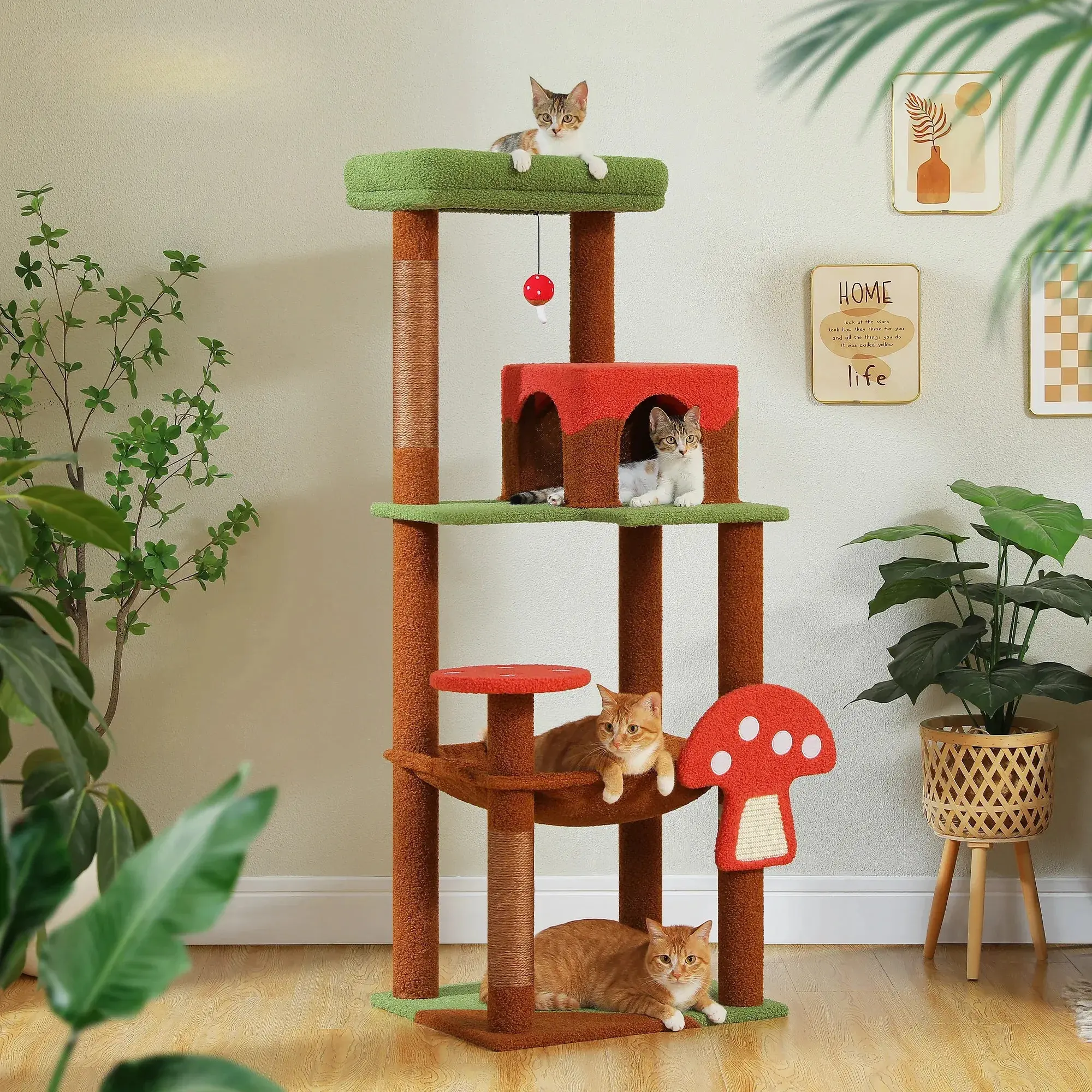 141686-a2bd92.webp