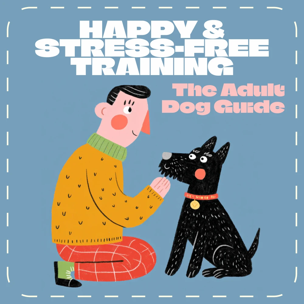 119887-8eaf1d.webp