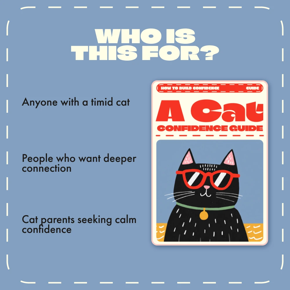 119682-a6664b.webp