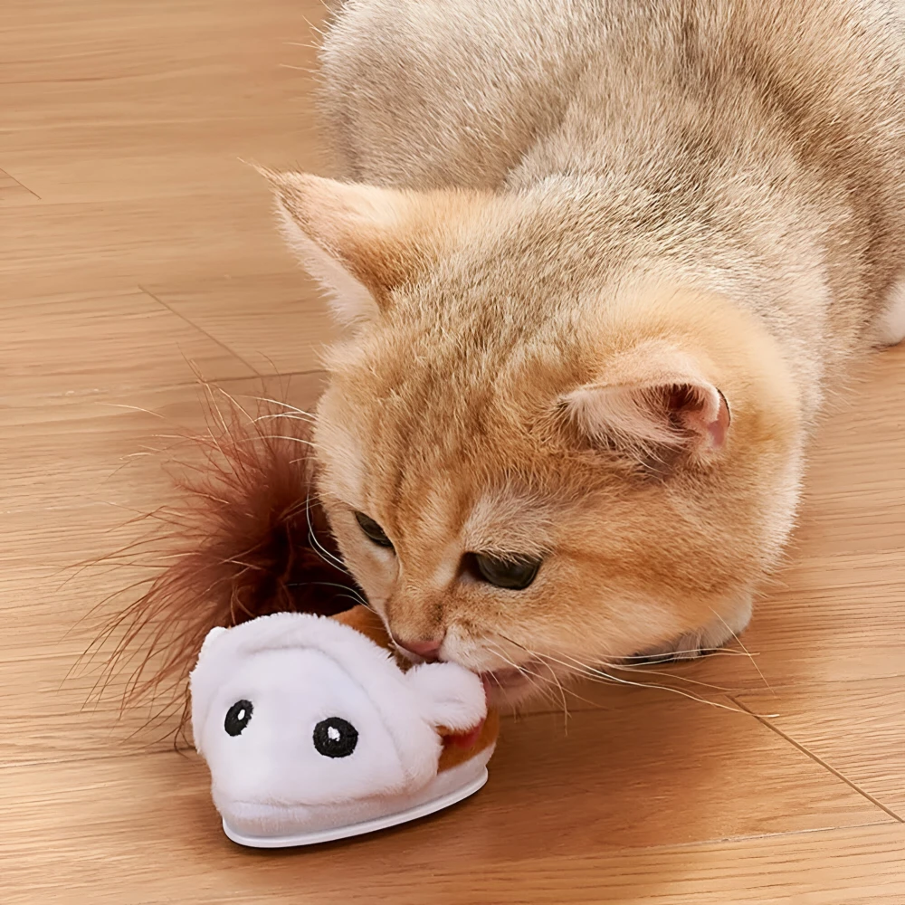 23105-b3bb47.webp