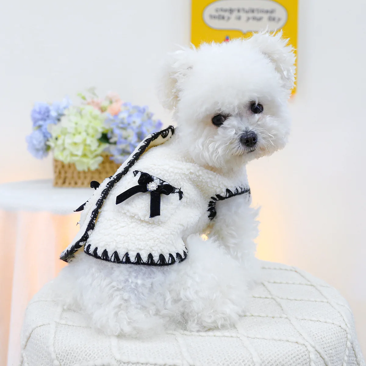 149278-bd192c.webp